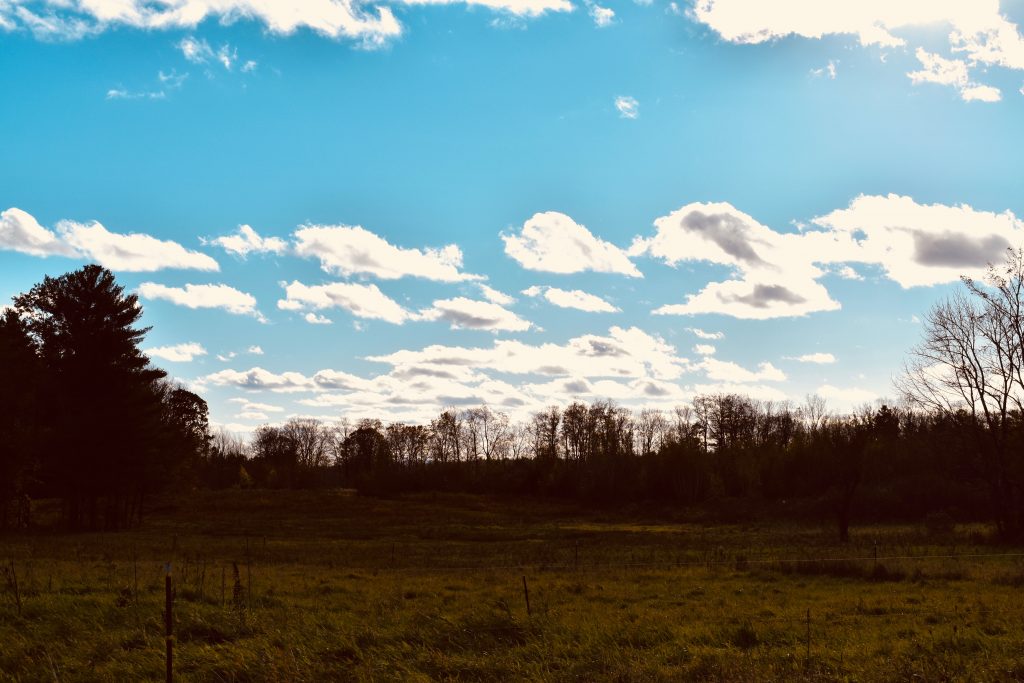 Fall sky